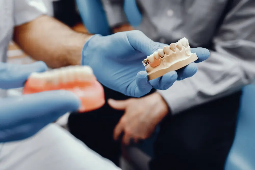 artificial jaw dentist